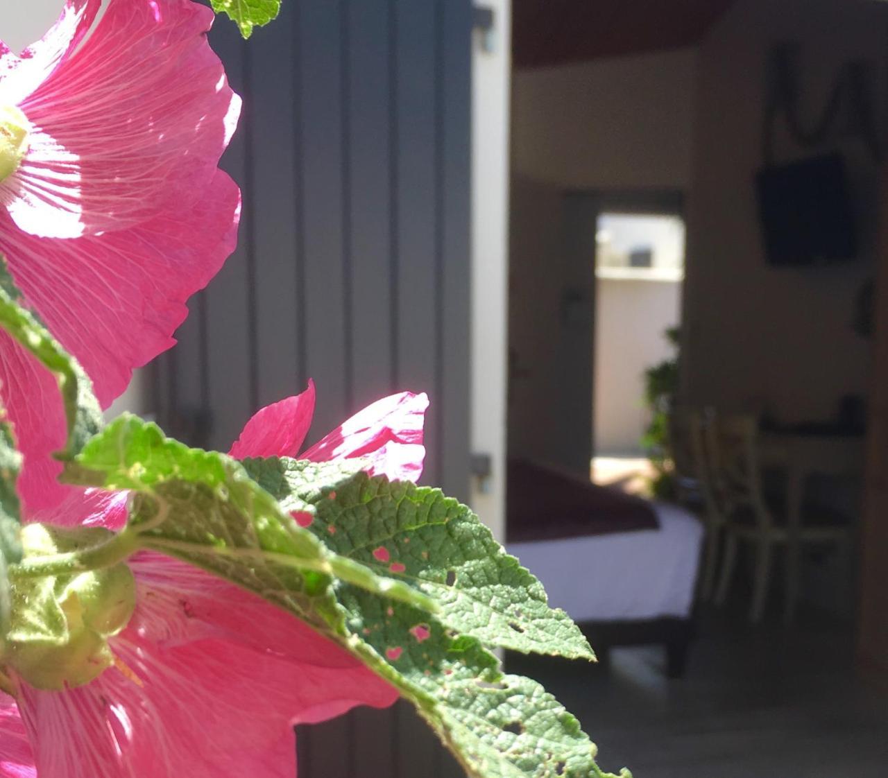 Hotel Restaurant & Spa Plaisir Le Bois-Plage-en-Ré Dış mekan fotoğraf